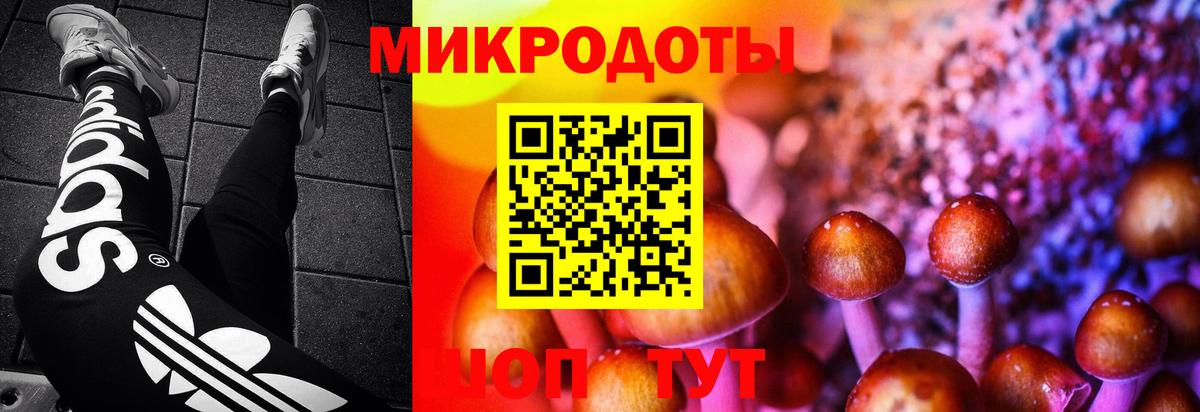 Псилоцибиновые грибы Psilocybine cubensis Гагарин